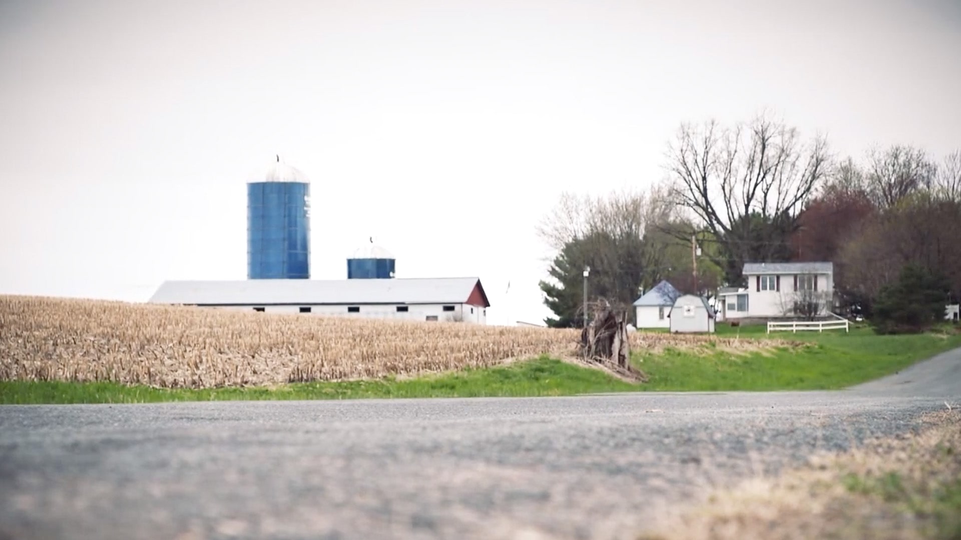 306_MurderOnTheFarm