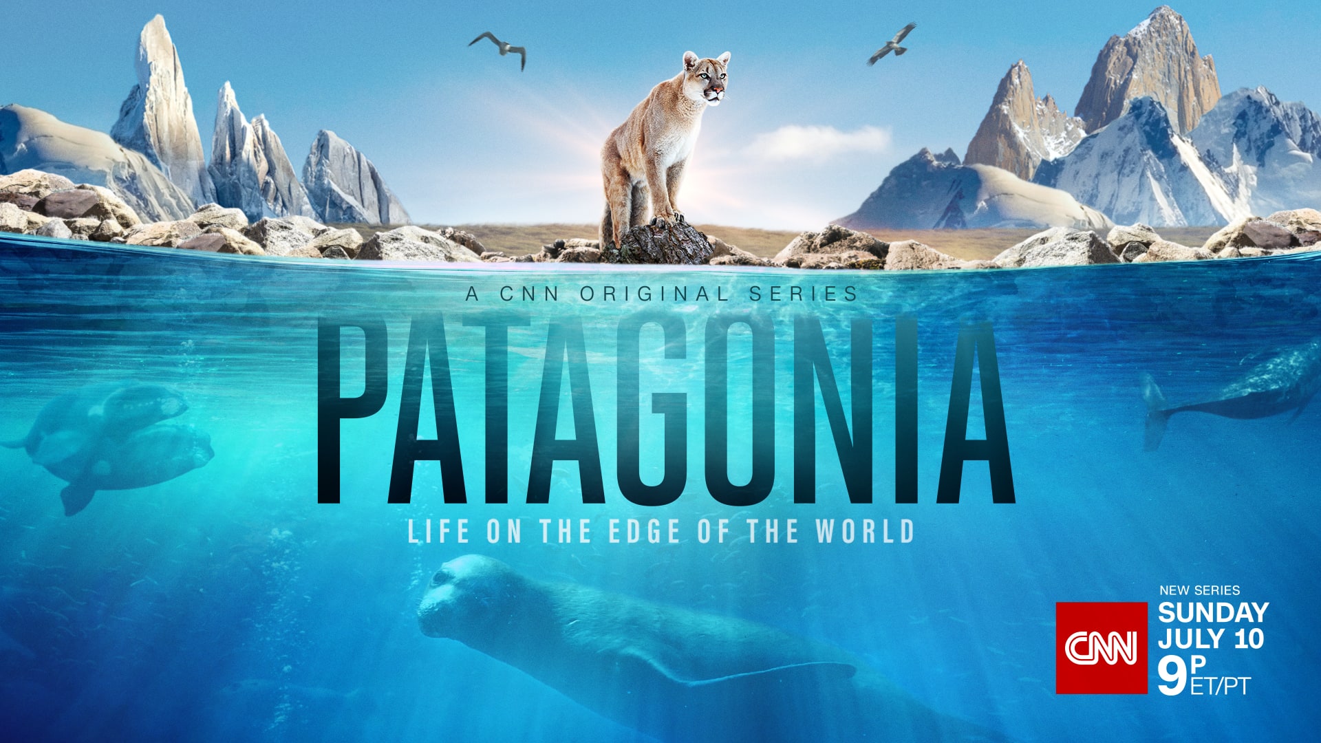 CNN_PATAGONIA_1920x1080_Dated