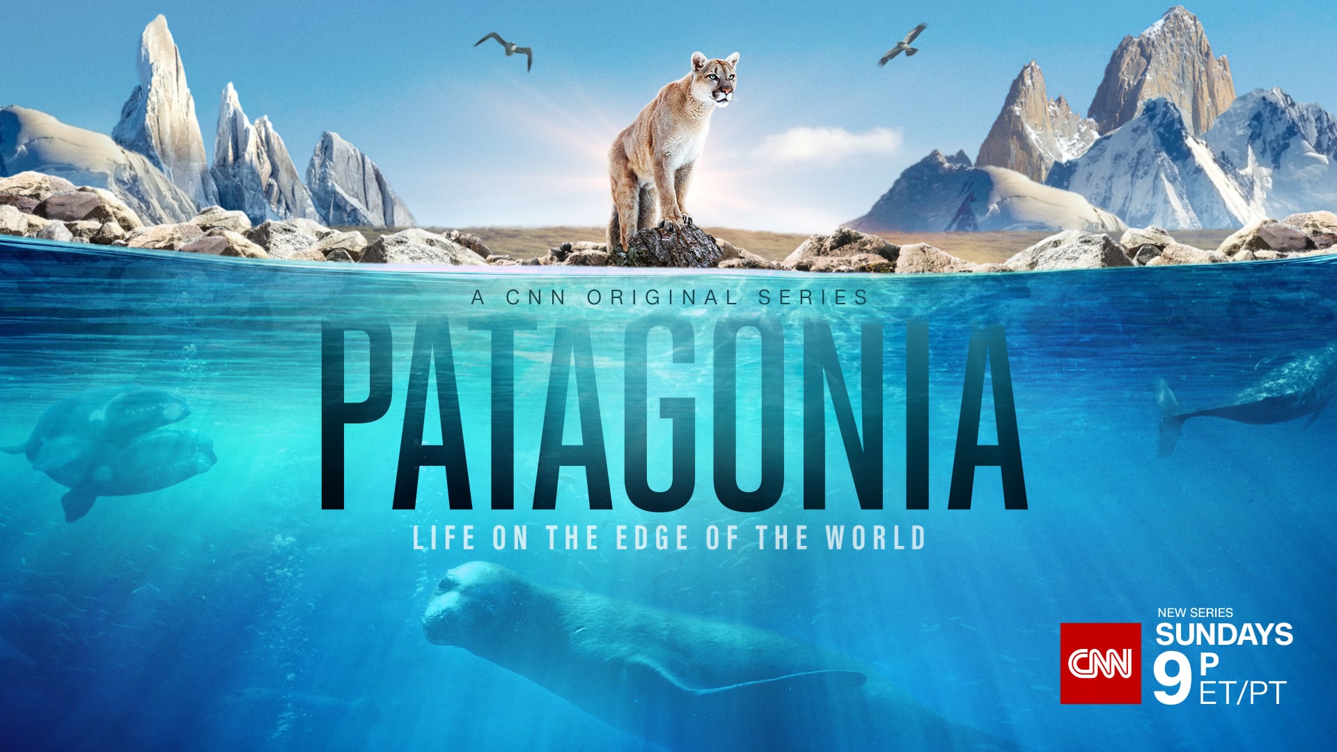CNN_PATAGONIA_1920x1080_Sundays