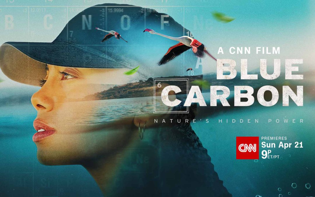 Blue Carbon